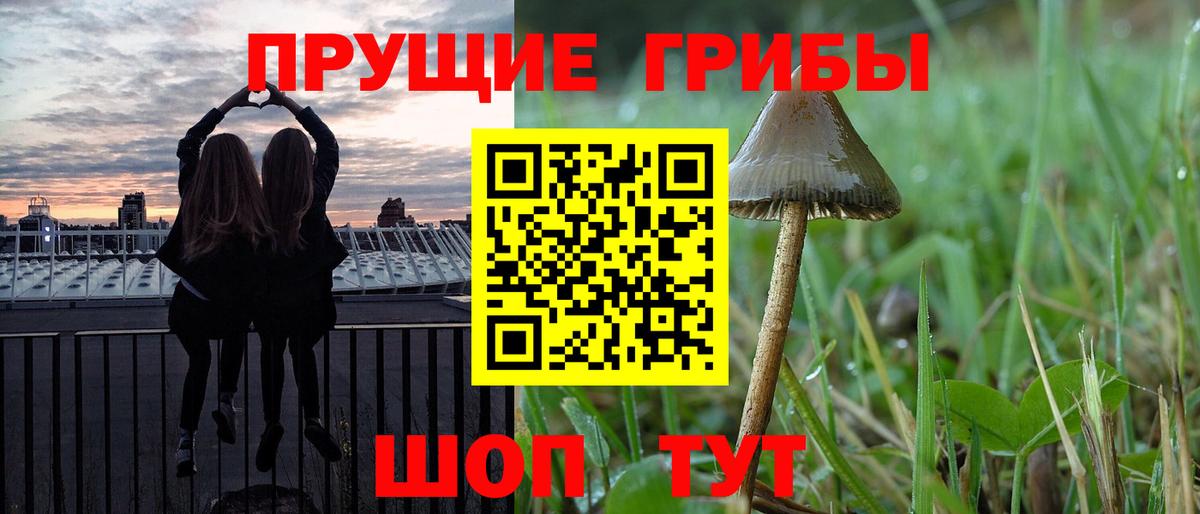 Галлюциногенные грибы GOLDEN TEACHER  Псилоцибиновые грибы Psilocybe  Боровичи  Вход с VPN 